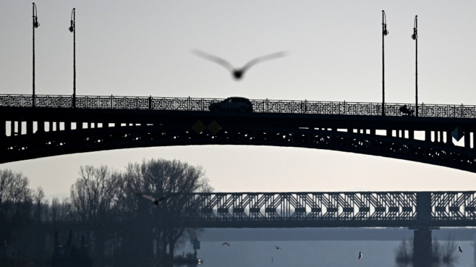 Feuerwehr rettet M&ouml;we von Rheinbr&uuml;cke: Einsatz mit Drehleiter und spontanem Applaus