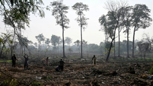 A Islamabad, b&eacute;ton et infrastructures militaires grignotent le paysage urbain