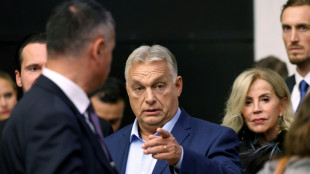 Rede im EU-Parlament: Orban will Europa "wieder gro&szlig; machen"
