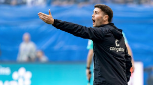 Brighton make Hurzeler, 31, youngest Premier League manager