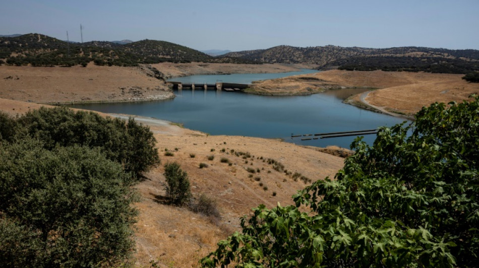La sequ&iacute;a potencia las tensiones sobre la gesti&oacute;n del agua en Espa&ntilde;a