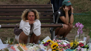 El ataque en una playa de S&iacute;dney parece "motivado por la ideolog&iacute;a" del EI, dice el primer ministro