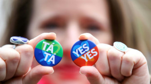 Referendum in Irland &uuml;ber Verfassungsartikel zu Familien und Rolle der Frau