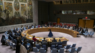 UN-Sicherheitsrat ber&auml;t wegen US-Luftangriffen in Syrien und dem Irak
