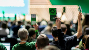 Parteitag: Grüne fordern Taurus für Ukraine und betonen Palästina-Anerkennung