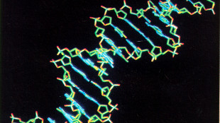 Malattie rare, screening neonatali e genomica per garantire diagnosi precoce