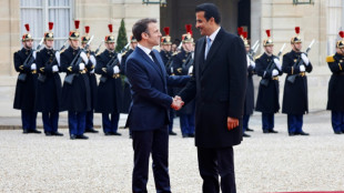L'&eacute;mir du Qatar entame une visite d'Etat en France