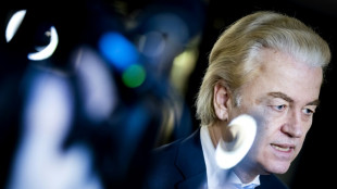 Niederl&auml;ndischer Wahlausschuss best&auml;tigt Sieg von Rechtspopulist Wilders bei Wahl