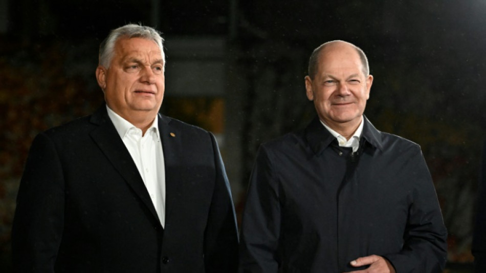 Regierungskreise: Scholz will Orban im Ukraine-Streit &uuml;berzeugen