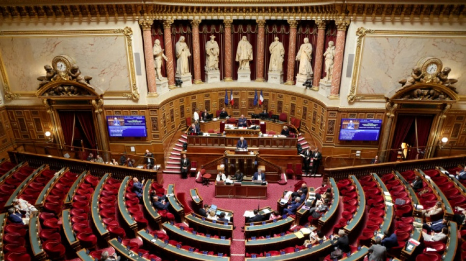 S&eacute;natoriales: le RN d&eacute;barque en force &agrave; la chambre haute