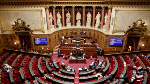 S&eacute;natoriales: le RN en passe de former un groupe parlementaire au S&eacute;nat