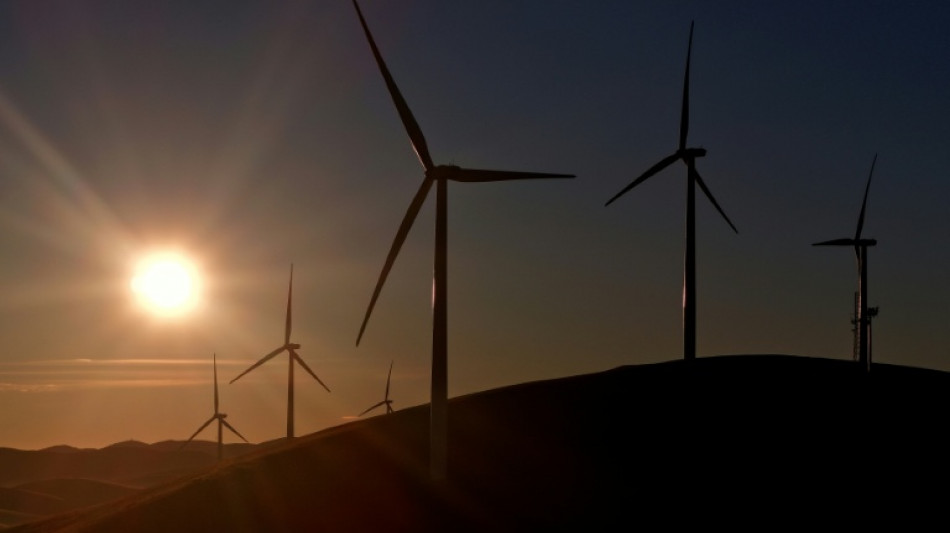 Avan&ccedil;o da capacidade solar e e&oacute;lica desacelera no mundo