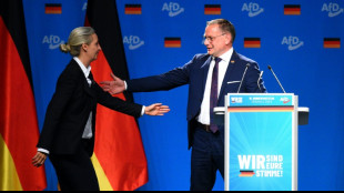 Chrupalla: "Weidel w&auml;re eine sehr gute Kanzlerkandidatin"
