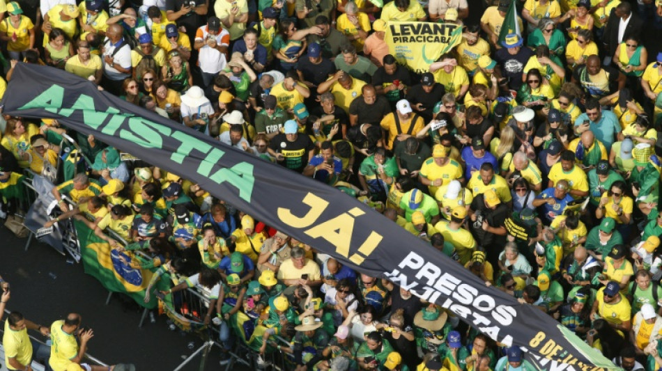 Zehntausende Bolsonaro-Anh&auml;nger demonstrieren gegen Sperrung des Onlinedienstes X in Brasilien