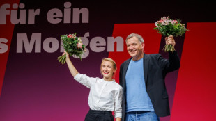 Schwerdtner und van Aken wollen Linkspartei aus der Krise f&uuml;hren