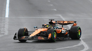 F1: Cina;Norris 'McLaren non adatta a mio stile,ma va bene cos&igrave;'