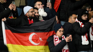 Gr&uuml;nen-Politiker fordert kritische Worte von Steinmeier bei T&uuml;rkei-Besuch