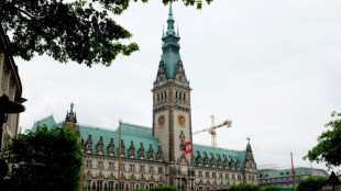AfD-Abgeordneter scheitert mit Klage gegen Ordnungsrufe in Hamburger Bürgerschaft
