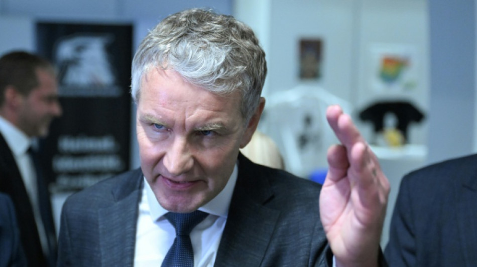 Rechtsstreit um Interview&auml;u&szlig;erung: AfD klagt erfolgreich gegen Verfassungsschutzchef