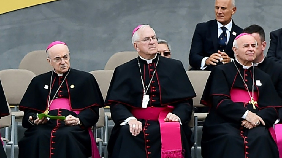 Francisco, blanco de una feroz oposici&oacute;n dentro de la propia Iglesia
