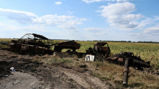Kiew verst&auml;rkt Offensive in russischer Region Kursk - Moskau meldet Einnahme von Dorf
