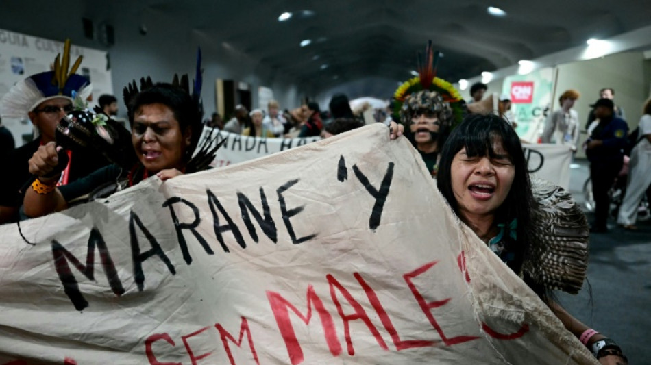 En Amazonie, le monde adopte un accord a minima sur la coopération pour le climat