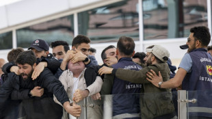 "M&ouml;rder Deutschland": Demonstranten empfangen Steinmeier in Istanbul