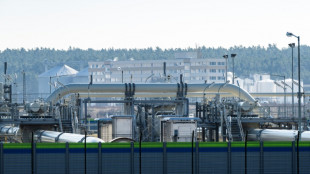 Netzagentur und Habeck schlie&szlig;en Ausfall der russischen Gaslieferungen nicht aus