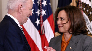 US-Demokraten stehen nach Biden-R&uuml;ckzug vor Nominierungsverfahren im Eiltempo