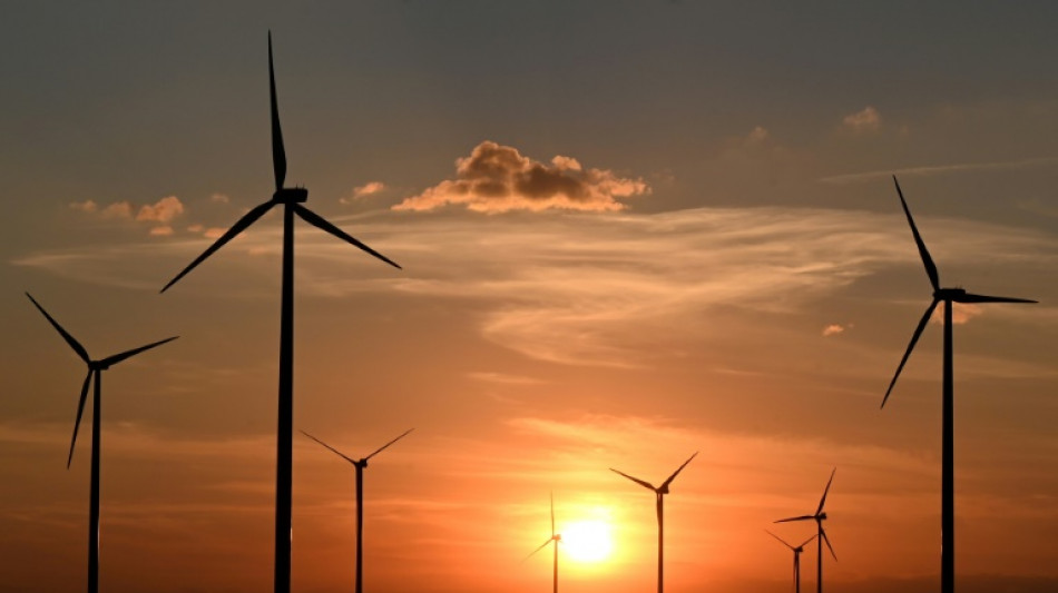 EU-Energieminister verl&auml;ngern vereinfachte Genehmigung von Wind-und Solaranlagen