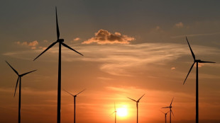 Studie: Bundesb&uuml;rger bef&uuml;rworten Energiewende und sorgen sich wegen deren Folgen