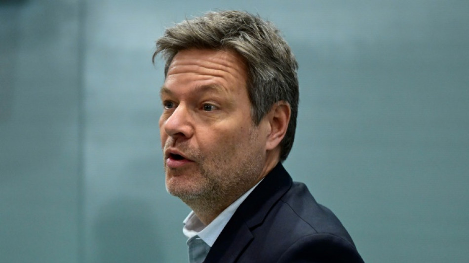 Blockade von Habecks F&auml;hre sorgt partei&uuml;bergreifend f&uuml;r Kritik 