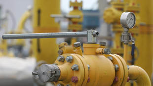 Il gas parte in rialzo (+1,9%) a 49 euro al Megawattora