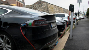 Noruega se acerca el objetivo de 100% de ventas de coches el&eacute;ctricos en enero