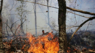 Inc&ecirc;ndios florestais no M&eacute;xico deixam quatro mortos