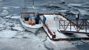 Greenland is 'open for business' -- kind of, says business leader