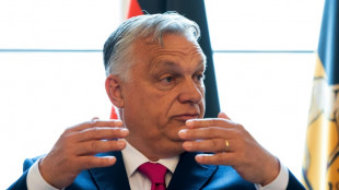 Orban setzt auf Trump f&uuml;r Bem&uuml;hungen um Waffenstillstand in der Ukraine