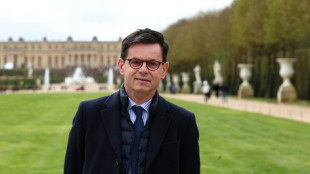 France appoints new Louvre chief after jewellery heist