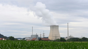 Lemke schlie&szlig;t Kauf neuer Brennelemente f&uuml;r deutsche Atomkraftwerke aus