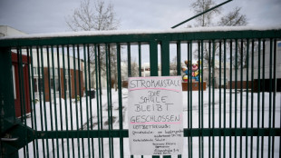 Anschlag auf Berliner Stromnetz: Beh&ouml;rden fordern Pr&uuml;fung durch Karlsruhe