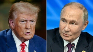 Spekulationen über Telefonat zwischen Trump und Putin