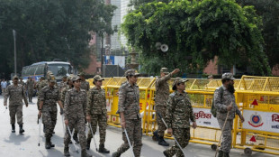 Inde: les chefs du mouvement des "cafards" remis en libert&eacute;, appels &agrave; de nouvelles manifestations