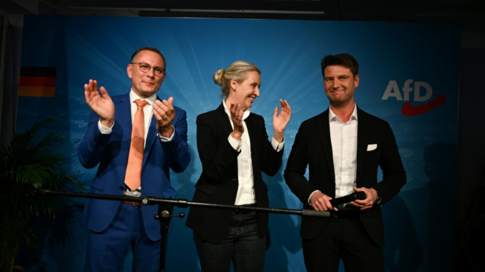 Ren&eacute; Aust zum Leiter der AfD-Delegation im EU-Parlament gew&auml;hlt