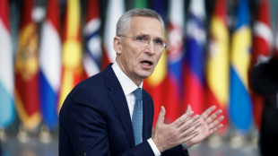 Nato-Plan: Berlin sieht 100 Milliarden Euro f&uuml;r die Ukraine skeptisch
