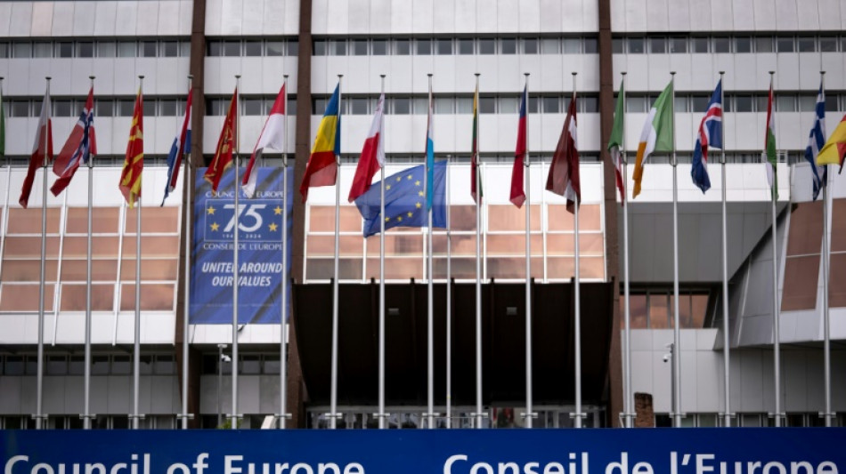 Baerbock w&uuml;rdigt Europarat zum 75-j&auml;hrigen Bestehen