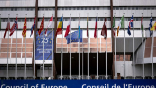 Baerbock w&uuml;rdigt Europarat zum 75-j&auml;hrigen Bestehen