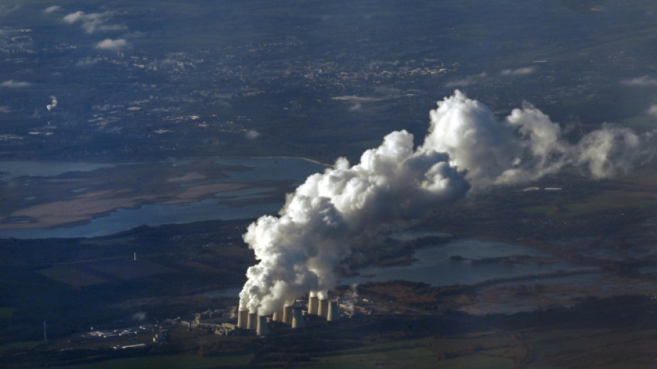 Germany hunts climate activist suspected of power grid sabotage