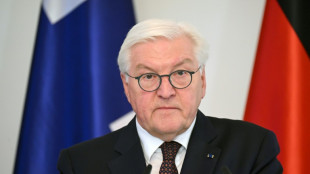 Steinmeier pl&auml;diert in Essay "Wir" f&uuml;r neuen "Patriotismus der leisen T&ouml;ne"