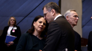 Baerbock fordert Luftabwehrsysteme f&uuml;r die Ukraine
