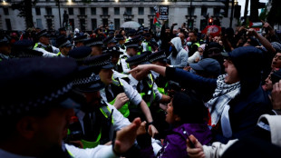 40 Festnahmen bei pro-pal&auml;stinensischer Kundgebung in London